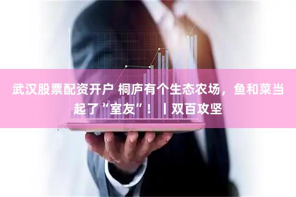 武汉股票配资开户 桐庐有个生态农场，鱼和菜当起了“室友”！丨双百攻坚
